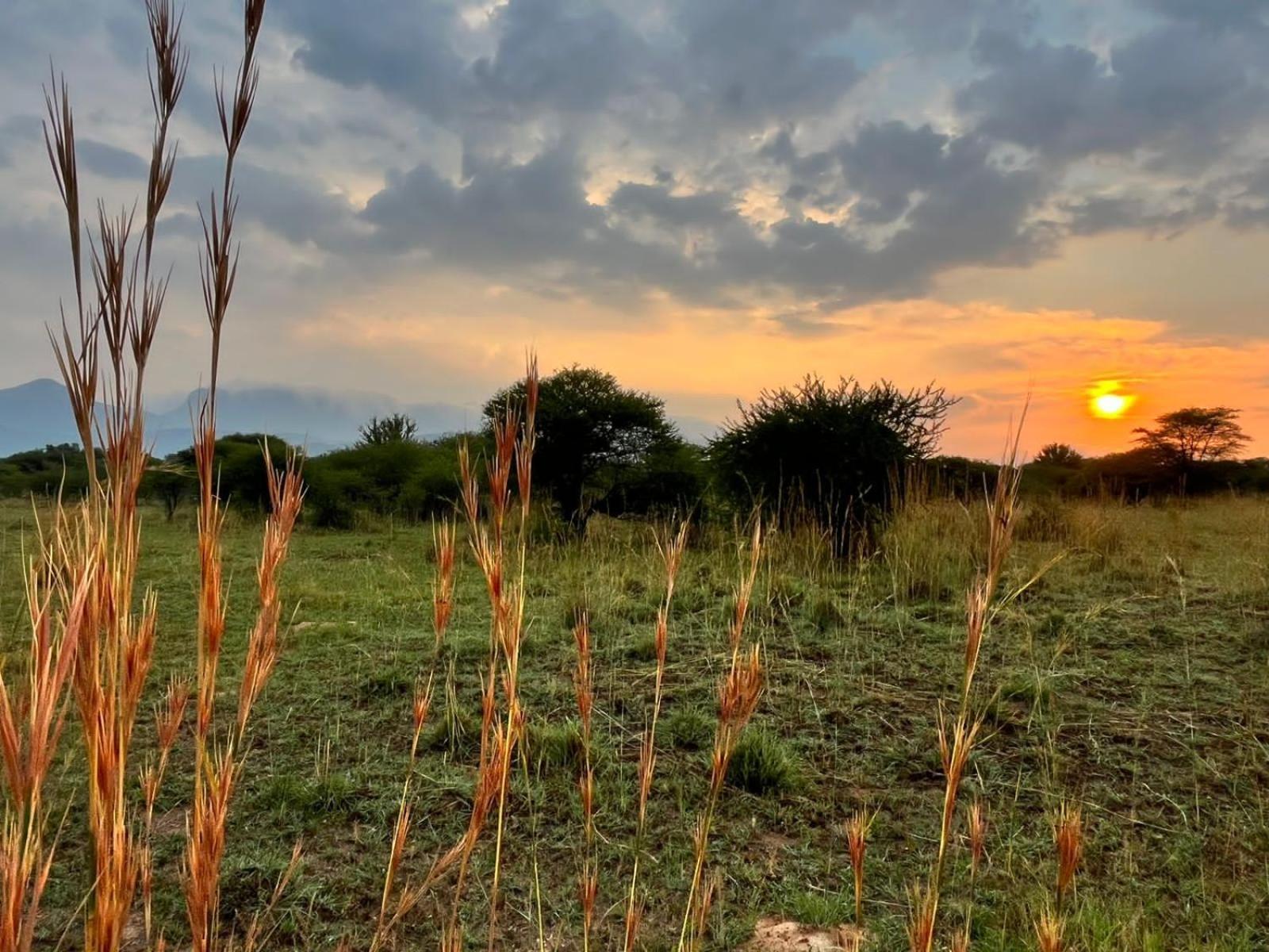 Thabazimbi Bushveld Self Catering Accommodation Buitenkant foto